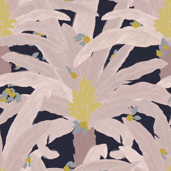 Armand – Image 4