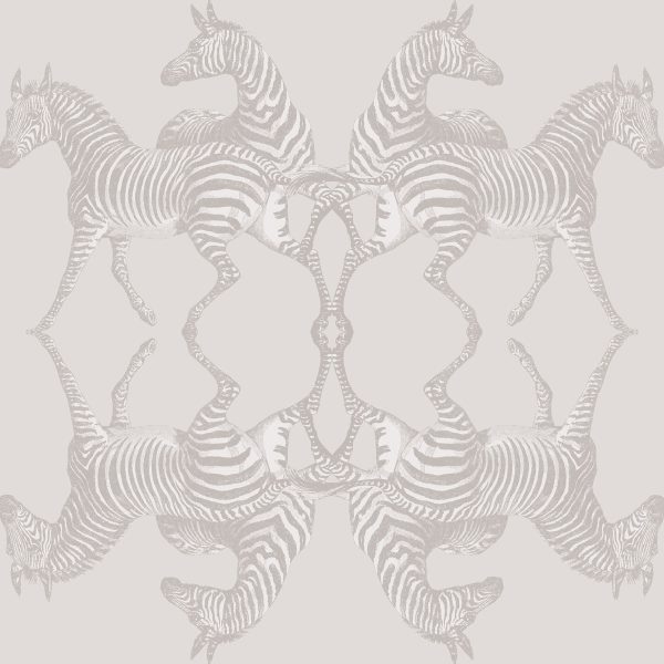 Zebra – Image 2