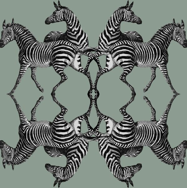 Zebra – Image 3