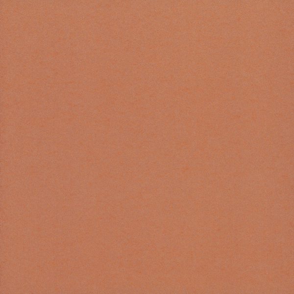 Joy – Image 20