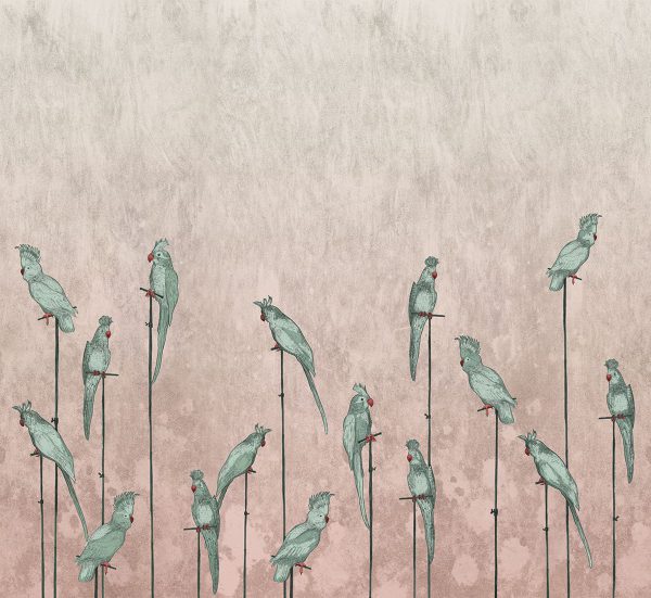 Aralia – Image 3