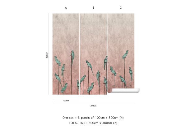 Aralia – Image 4