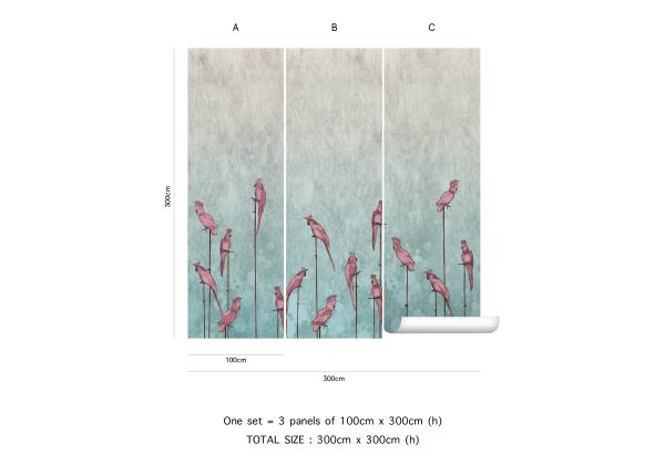 Aralia – Image 6