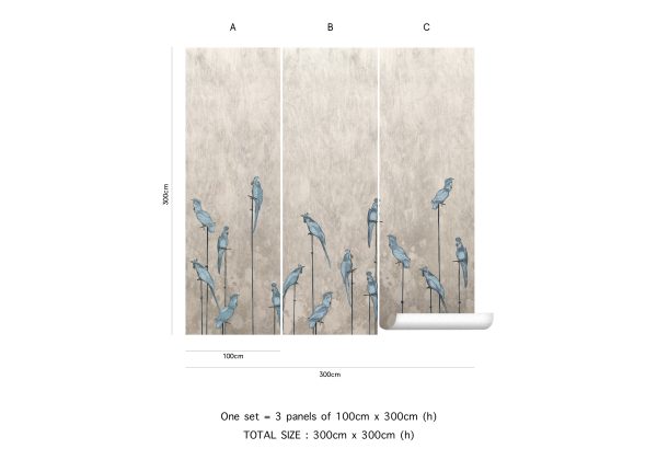 Aralia – Image 8