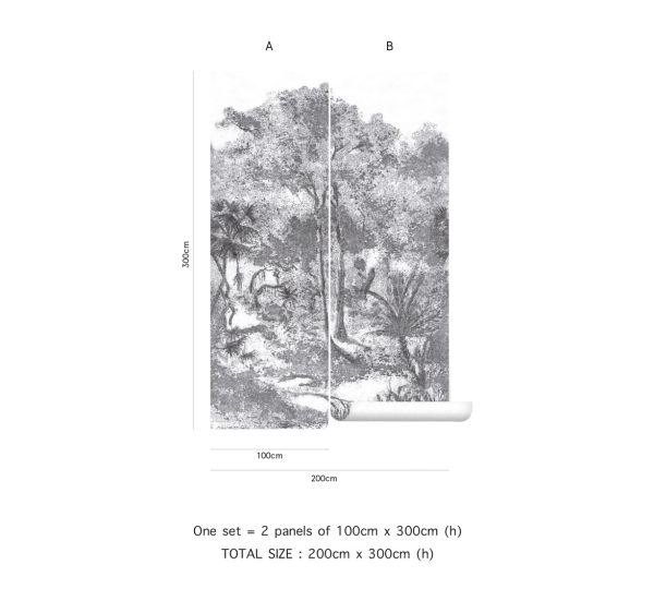Muse – Image 9