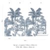Brahea - Image 6