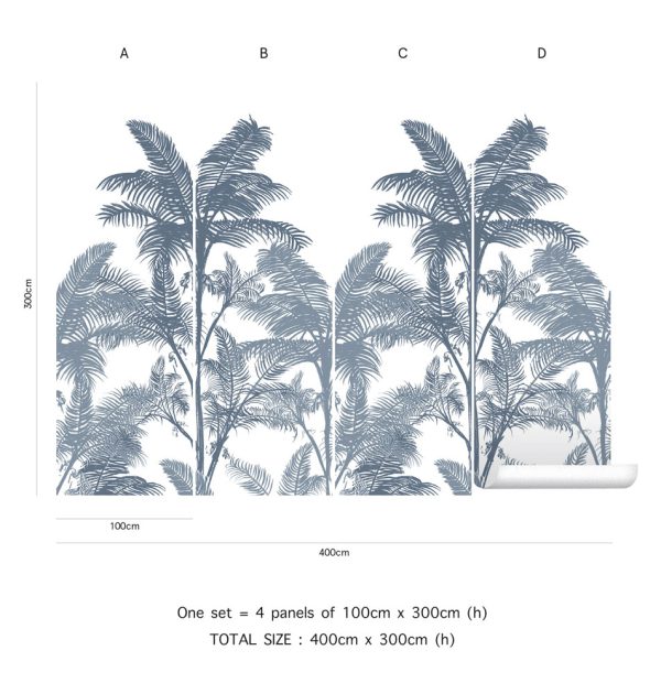 Brahea - Image 6