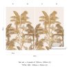 Brahea - Image 9