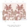 Brahea - Image 3