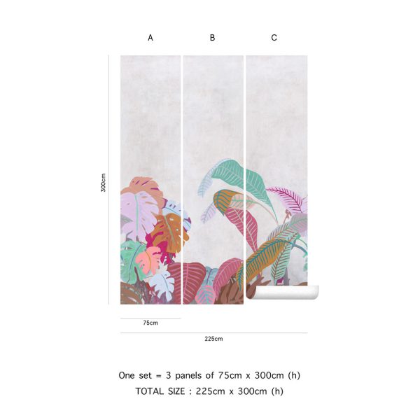 Amazone – Image 9