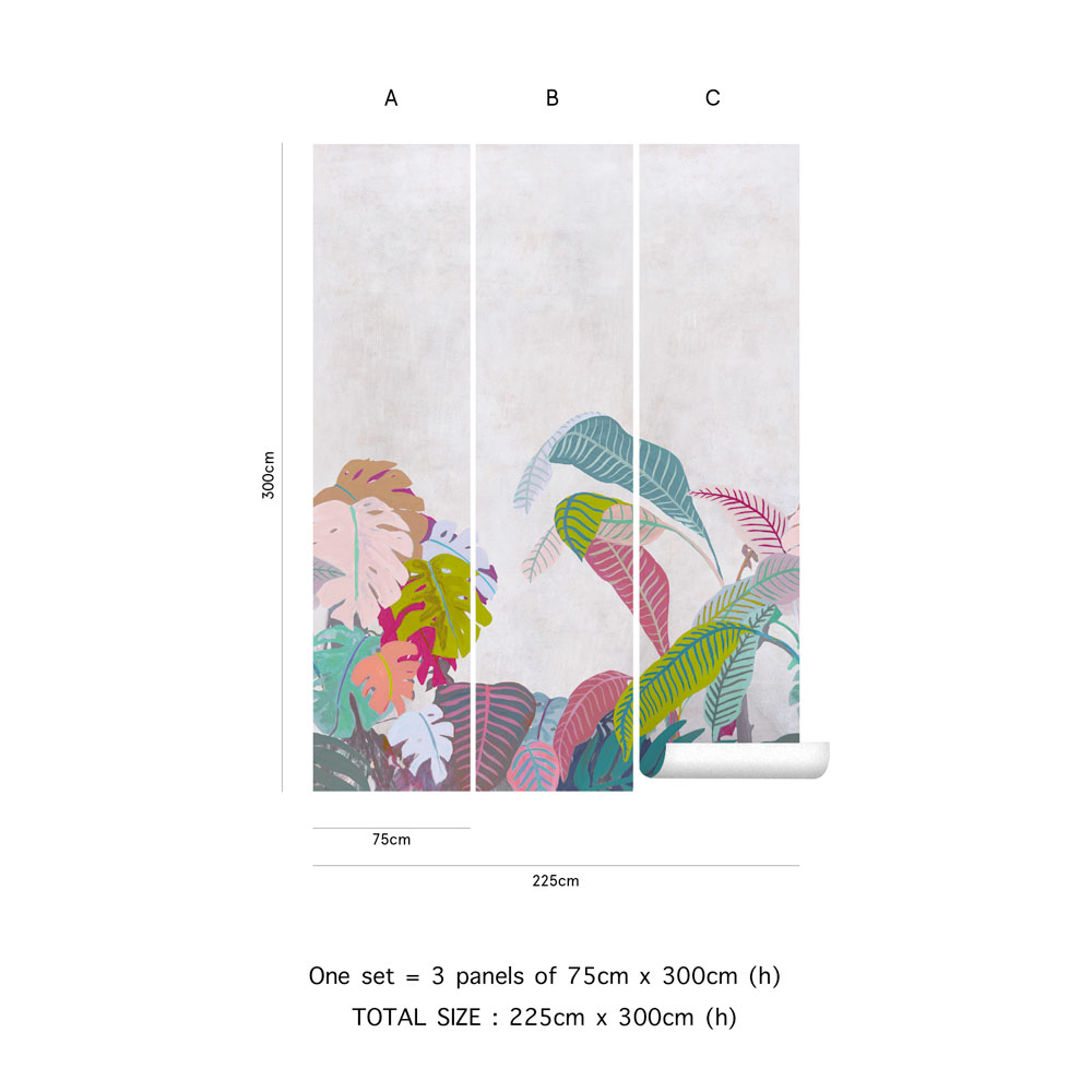 Amazone – Image 6