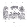 Savane – Image 9
