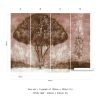 Season - Image 6