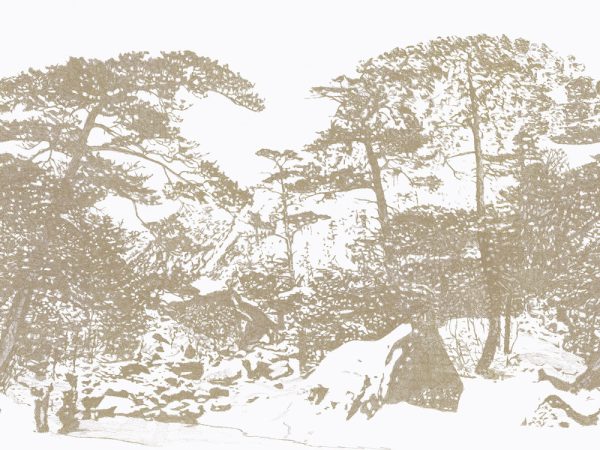Ginkesaï – Image 14