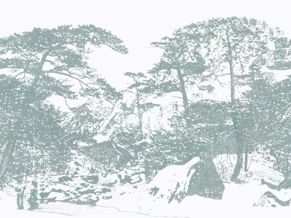Ginkesaï – Image 5