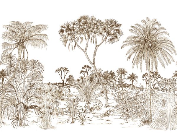 Savane – Image 2