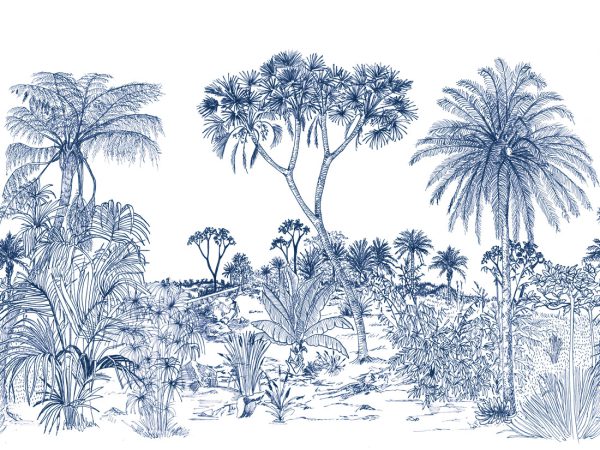 Savane – Image 5