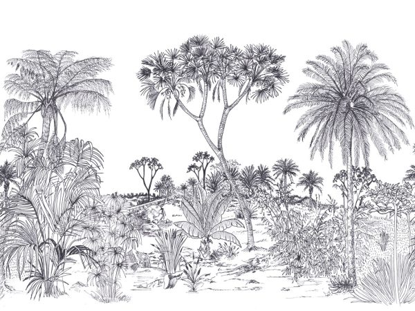 Savane – Image 8