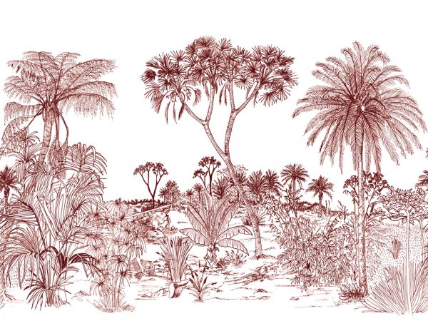 Savane – Image 11