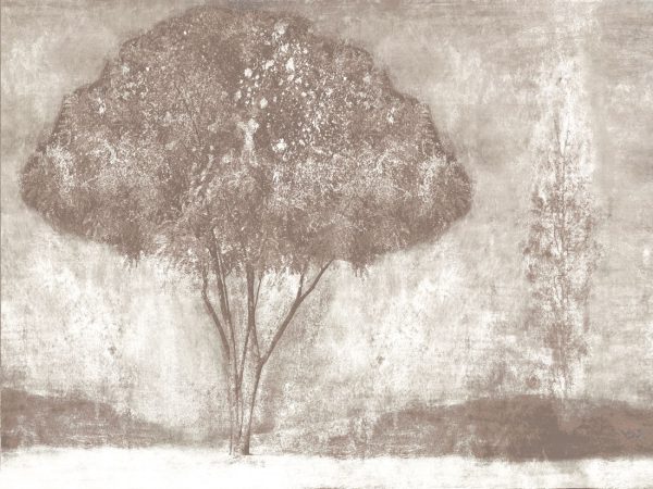 Season – Image 2