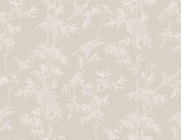Ylang Ylang – Image 5