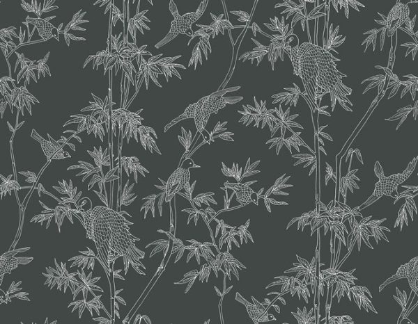Ylang Ylang – Image 17