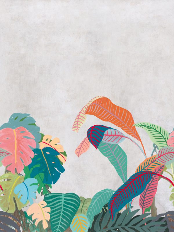 Amazone – Image 2
