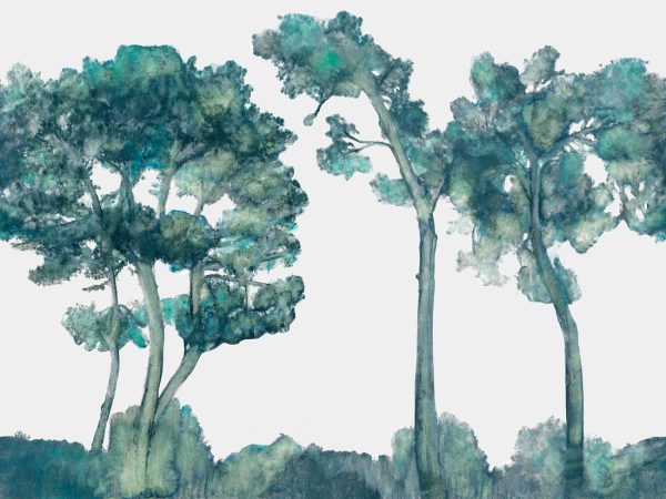 Canopy - Image 5