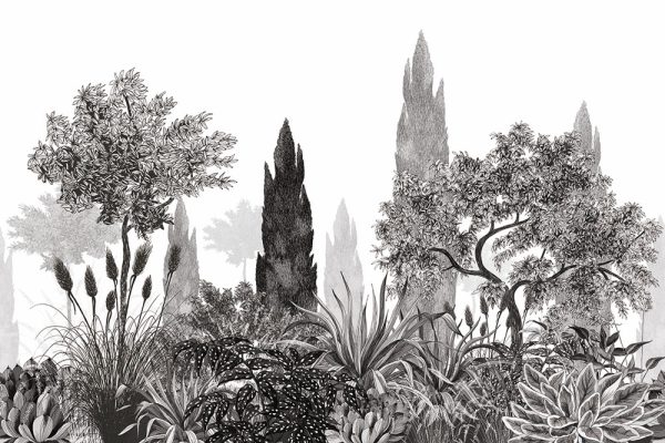 Toscane - Image 4