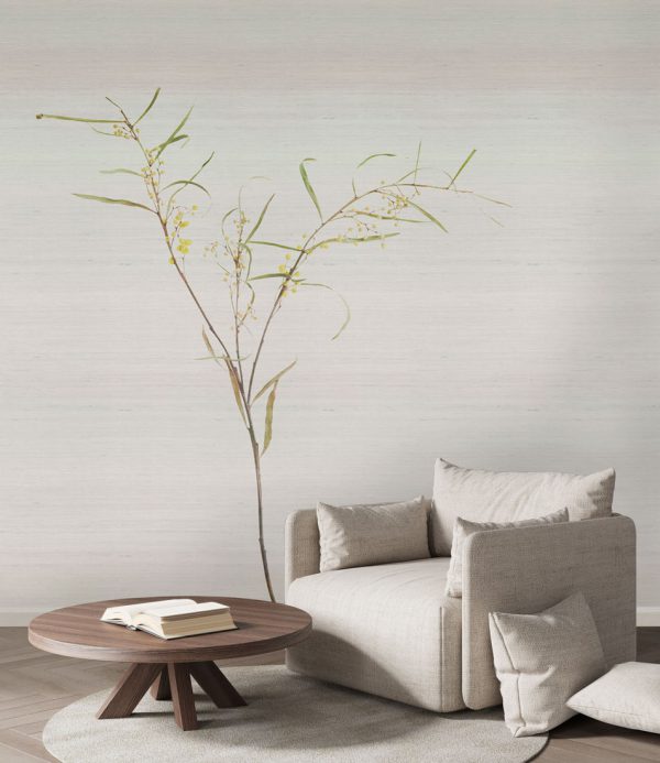 Acacia – Image 5