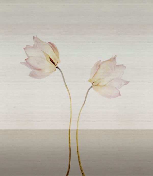 Angele – Image 4