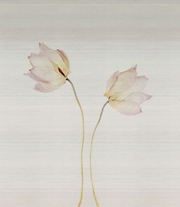 Angele – Image 2