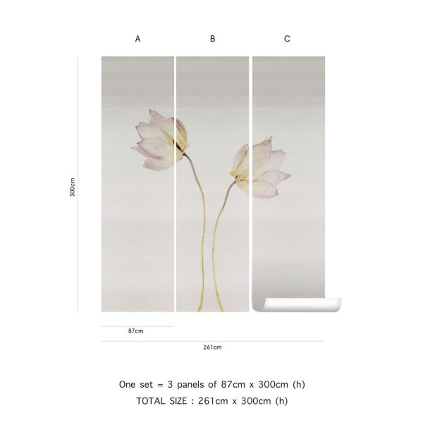 Angele – Image 3