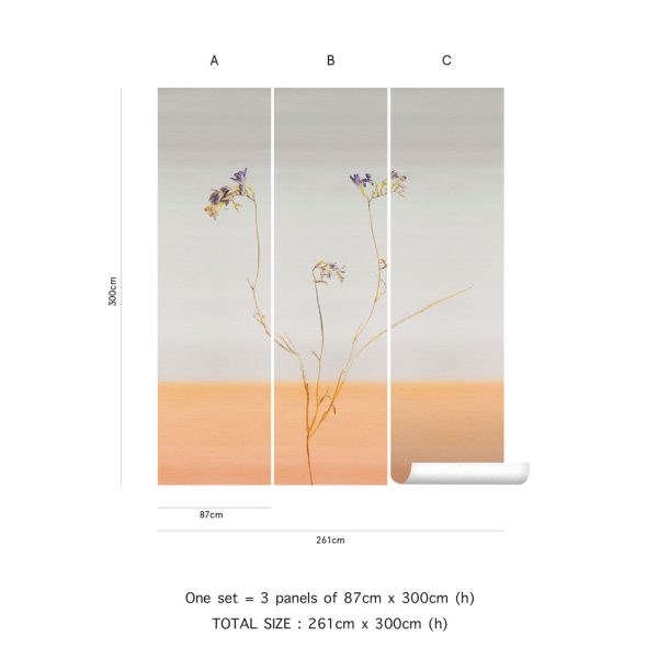 Freesia – Image 3