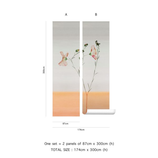 Robin – Image 3