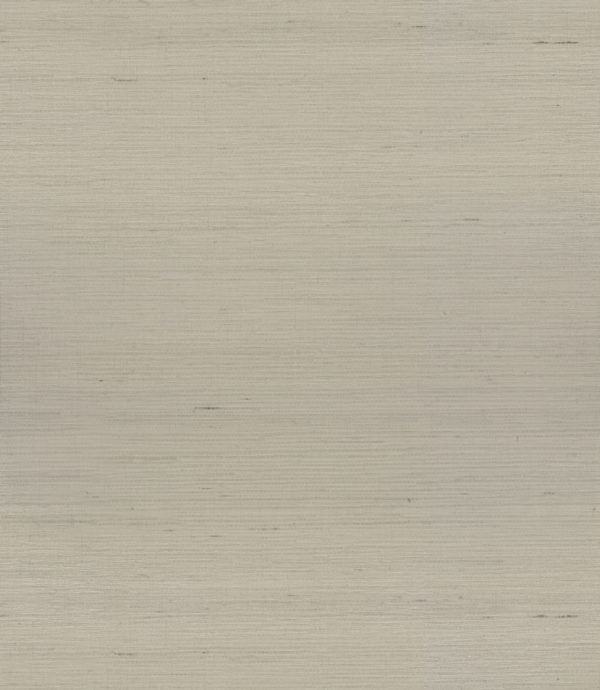 Saga – Image 5