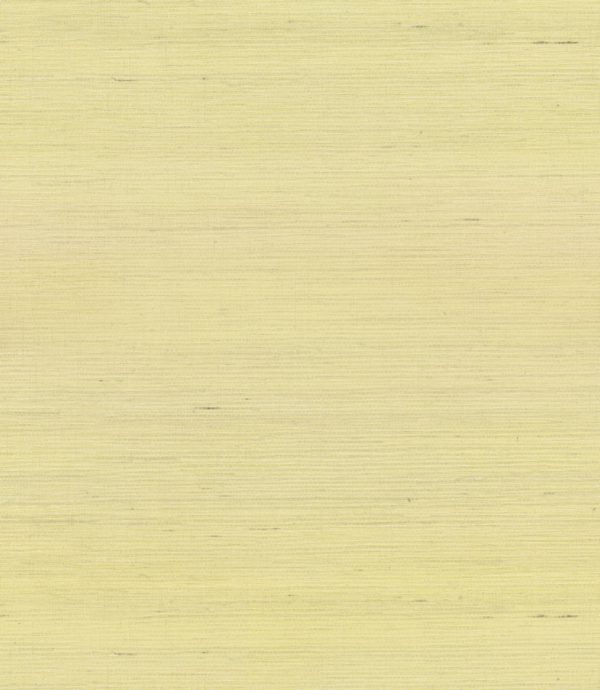 Saga – Image 2