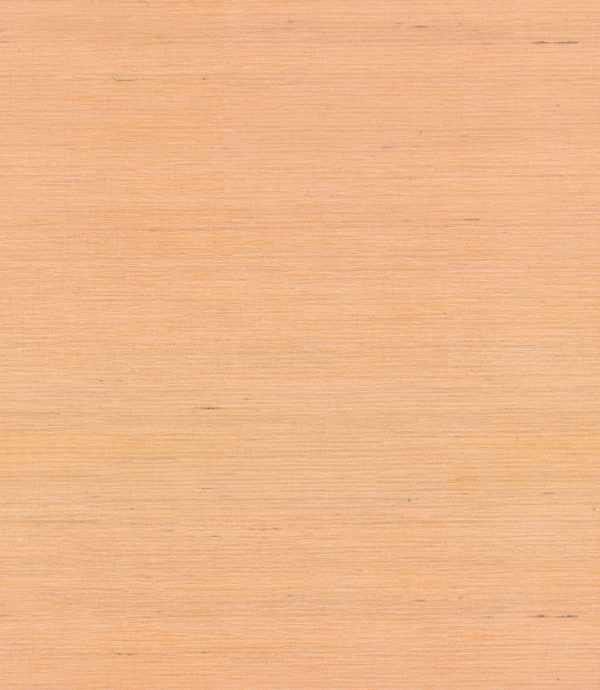 Saga – Image 4