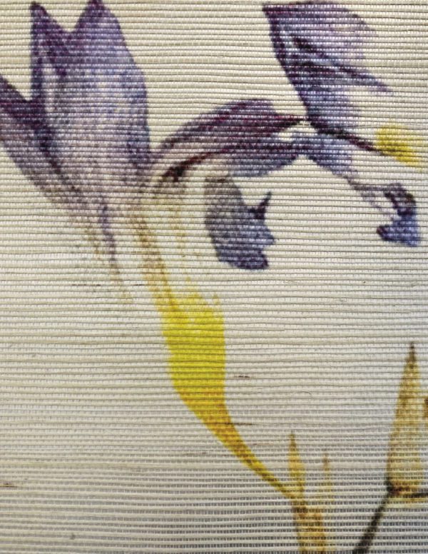 Freesia – Image 5
