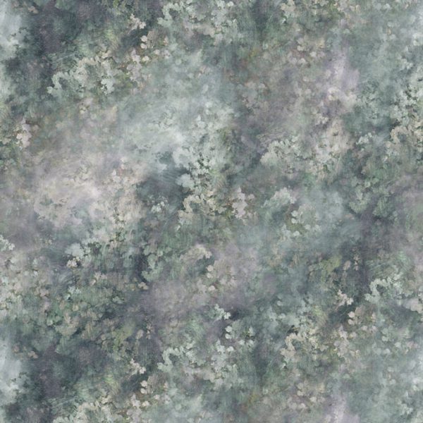 Chimera – Image 2
