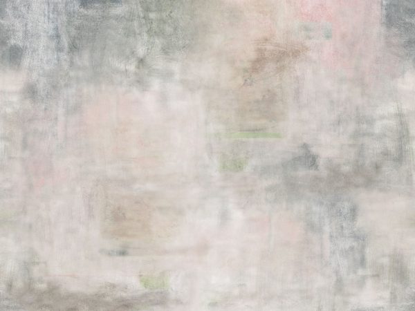 Duke – Image 2