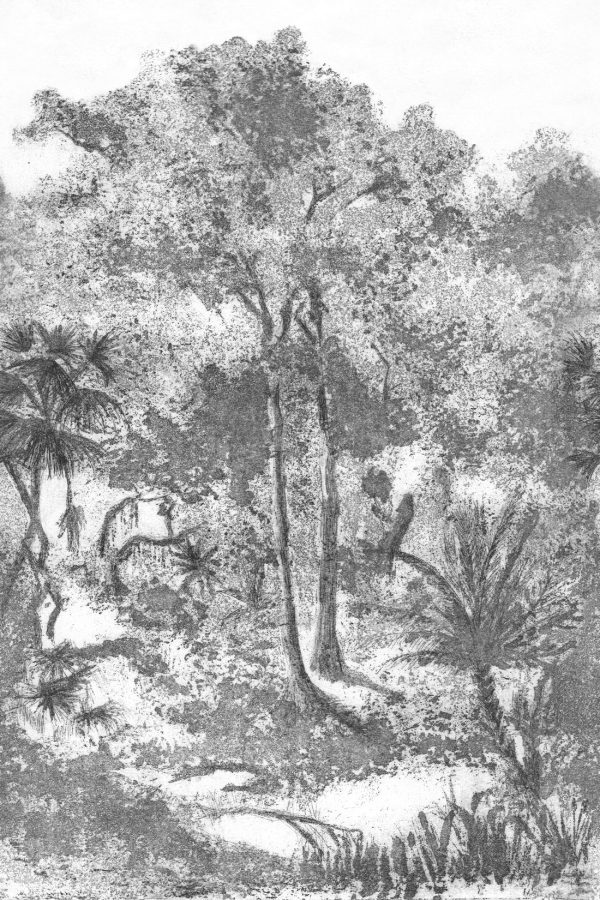 Muse – Image 8