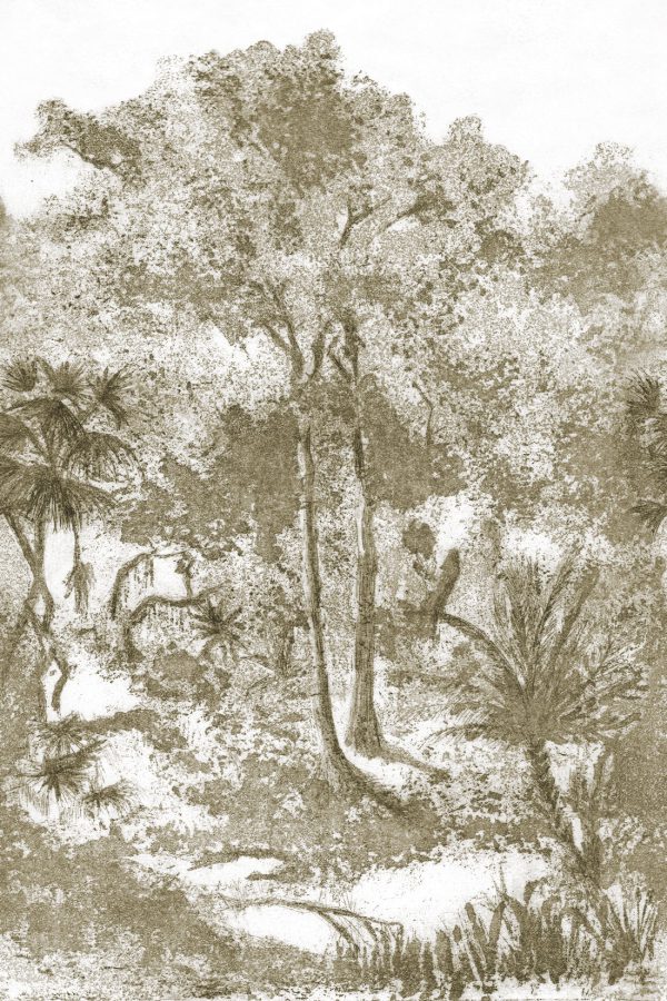 Muse – Image 5