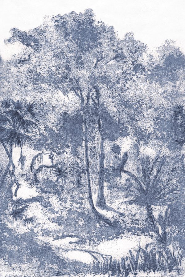 Muse – Image 2